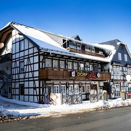 Gaestehaus Dorf-Alm Willingen (Upland) Exterior foto